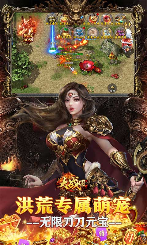 大战国游戏截图4