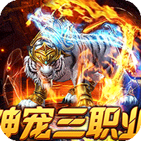 战宠三职业