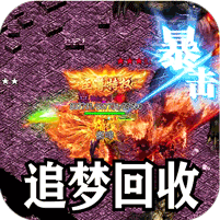 神宠专属沉默